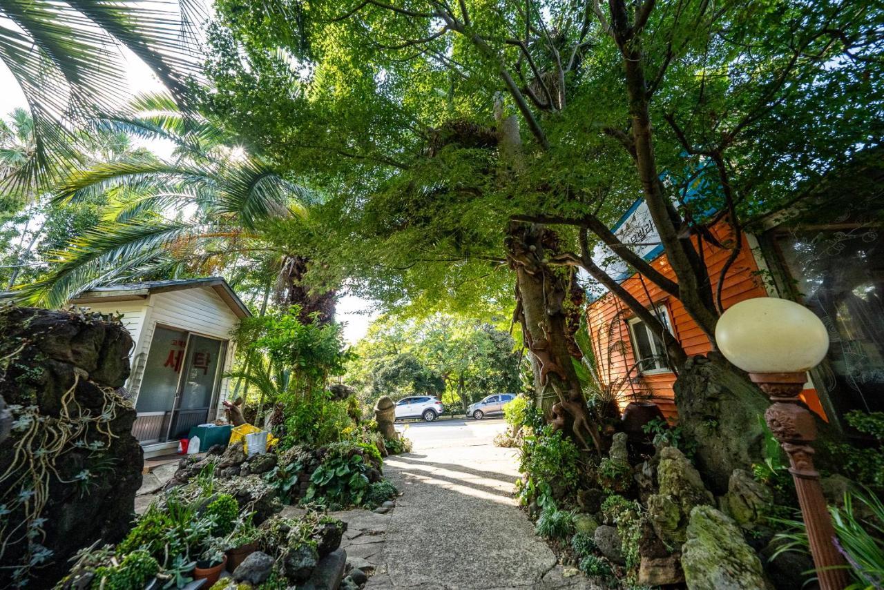Valley Village Σεογκουίπο Εξωτερικό φωτογραφία